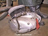 Adler014.jpg