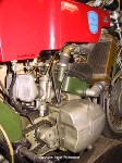 Adler022.jpg