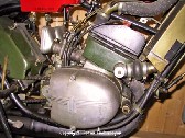 Adler025.jpg