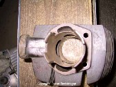 Adler026.jpg