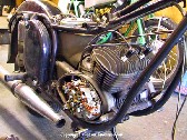 Adler071.jpg