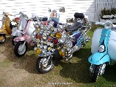 IMAG0077.jpg