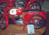 Checca.jpg (36367 Byte)