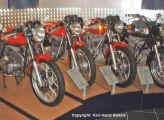 IMAG0030.jpg (48159 Byte)