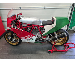 Ducati TT