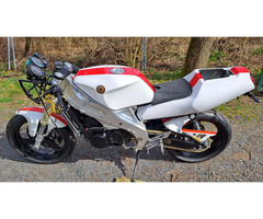 Yamaha Belgarda RD 250 LC abzugeben