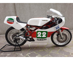 Yamaha tz 250 j 1982