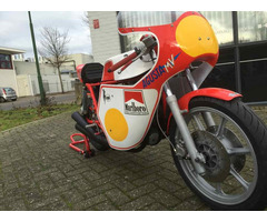 MV Agusta 500 replica/ look-a-like - 6