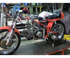 Aer Macchi Ala D'oro 350cc - 3