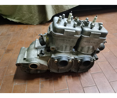 Rotax 256 engine