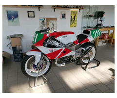 YAMAHA TZ 250 4DP 92  EX WORLD CHAMPIONSHIP (R.COLLEONI)