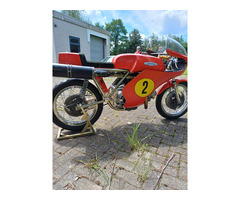 Metisse-Aermacchi-HD 494 cc  1970 - 2