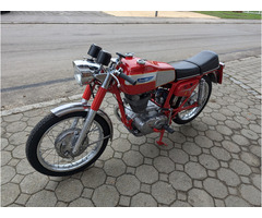 Ducati Desmo Sammlung