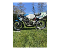 Zu Verkaufen: Yamaha TZ 250 H – Baujahr 1981. Ein echtes Sammler- und Fahrer-Highlight!