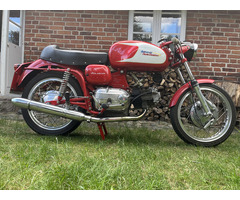Aermacchi ala Verde