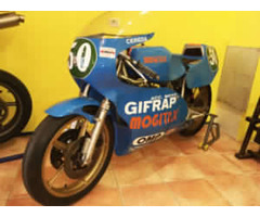 Rotax 250 cc primo tipo 10/10