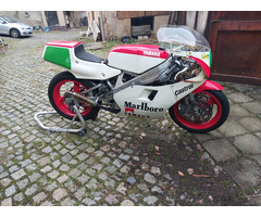Yamaha TZ 250