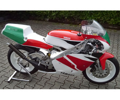 YAMAHA  TZ250  4DP