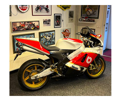 Bimota SB8K Santamonica - 2