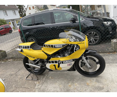 TZ 500 5Y9