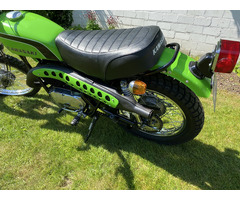 Kawasaki F5 Big Horn - 3