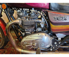 Triumph TSX 750 , BJ. 1983 - 3