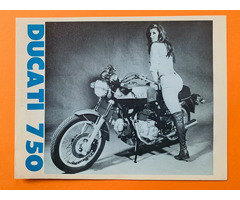 DUCATI 750 GT 1972 Prospekt Brochure Königswelle Bevel - 5