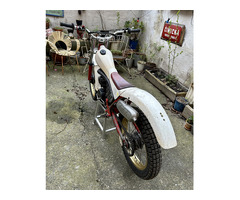 YAMAHA TY 250 1986 - 4