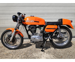 Originale Ducati 350 Yellow Desmo - 3