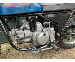 Aermacchi Harley Davidson SX 350 Scrambler - 5