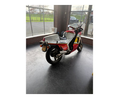 Suzuki Sport RG 500 Gamma - 3