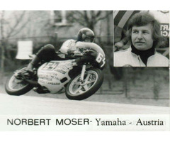 Ceriani 230 mm Doppel Duplex Bremse aus unserer Werkstatt