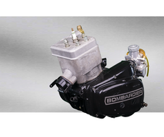 rotax(can-am) 250cc engine. - 5