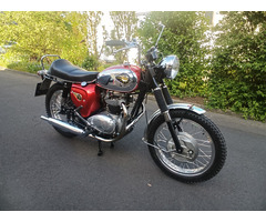BSA A65 Thunderbolt