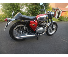 BSA A65 Thunderbolt - 2