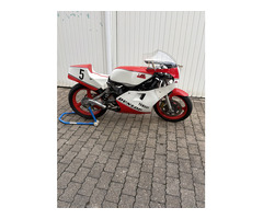 Yamaha TZ 250 mit viel Zubehör, guter Zustand.