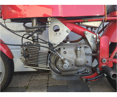 Harley Davidson CRTT 250 US-Ala d'Oro