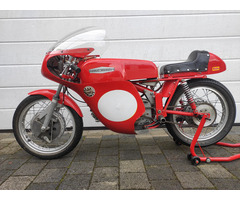 Harley Davidson CRTT 250 US-Ala d'Oro - 4