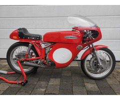 Harley Davidson CRTT 250 US-Ala d'Oro - 5