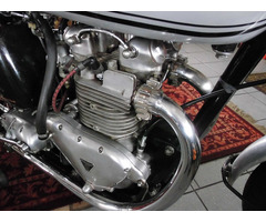 Triumph Kleinserienrennmaschine  T100 GP Square Barrel ( Replika ) - 3