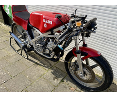 DRS YAMAHA TZ 250 - 5