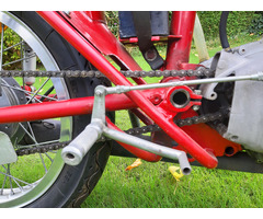 Ducati 250 Oldtimer Racer Köwe bevel - 5