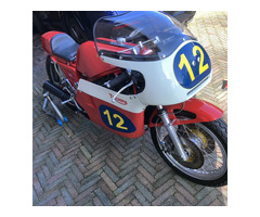 TRIUMPH ROB NORTH TRIPLE.750CC 1980.ORIGINALE RACER... - 2