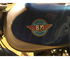 Bovincini Jaguarino 50cc - 6