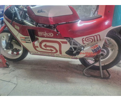 JJ COBAS TR 1C - 2