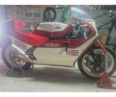 JJ COBAS TR 1C - 3