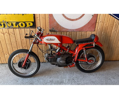 Aermacchi 250 Ala d`Oro 1963 - 5