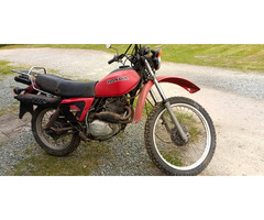 Honda XL 500 Bj 79 Brief ca 30 Jahre abgemeldet Scheunenfund - 4