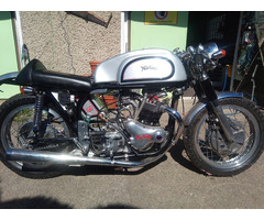 Norton