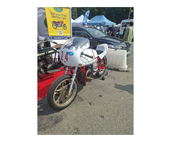 MOTO GUZZI LE MANS IV ENDURANCE RACER - 5